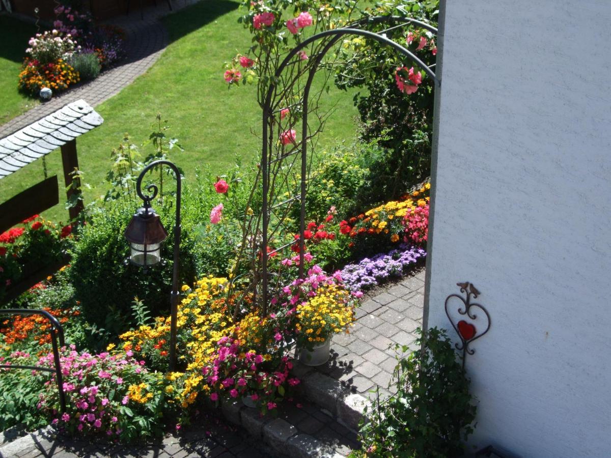 Haus Mittelberg Leilighet Olsberg Eksteriør bilde