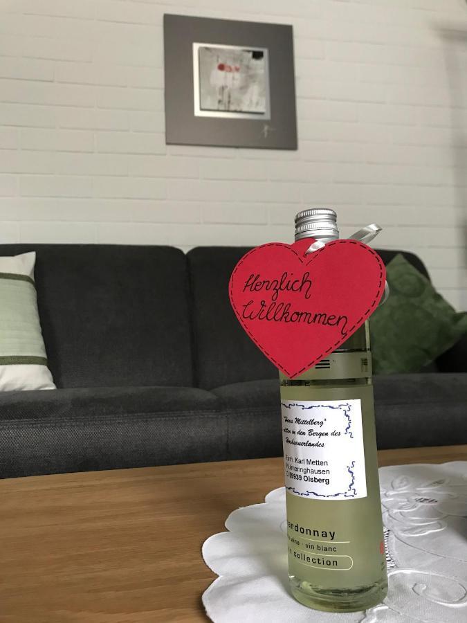 Haus Mittelberg Leilighet Olsberg Eksteriør bilde