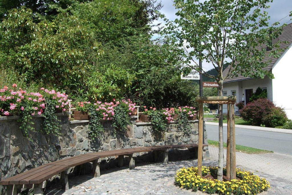 Haus Mittelberg Leilighet Olsberg Eksteriør bilde