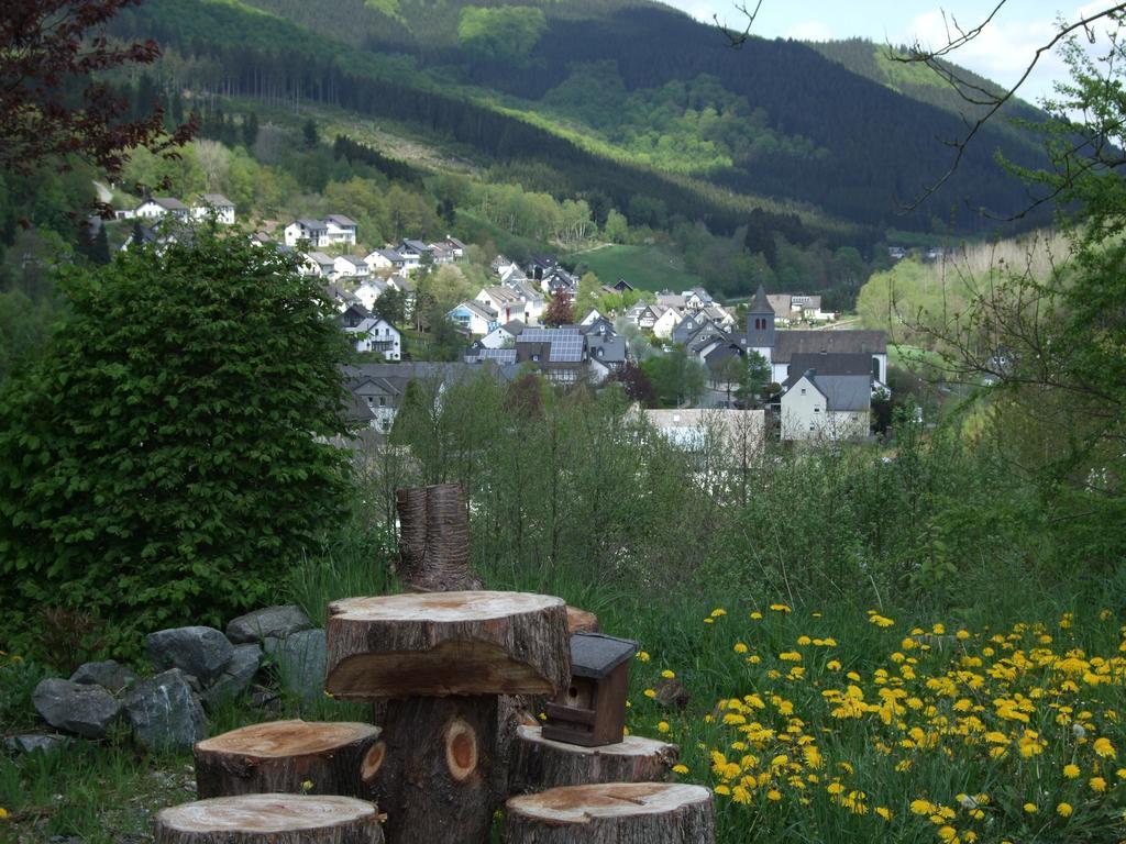 Haus Mittelberg Leilighet Olsberg Rom bilde