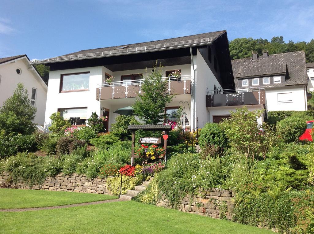 Haus Mittelberg Leilighet Olsberg Eksteriør bilde