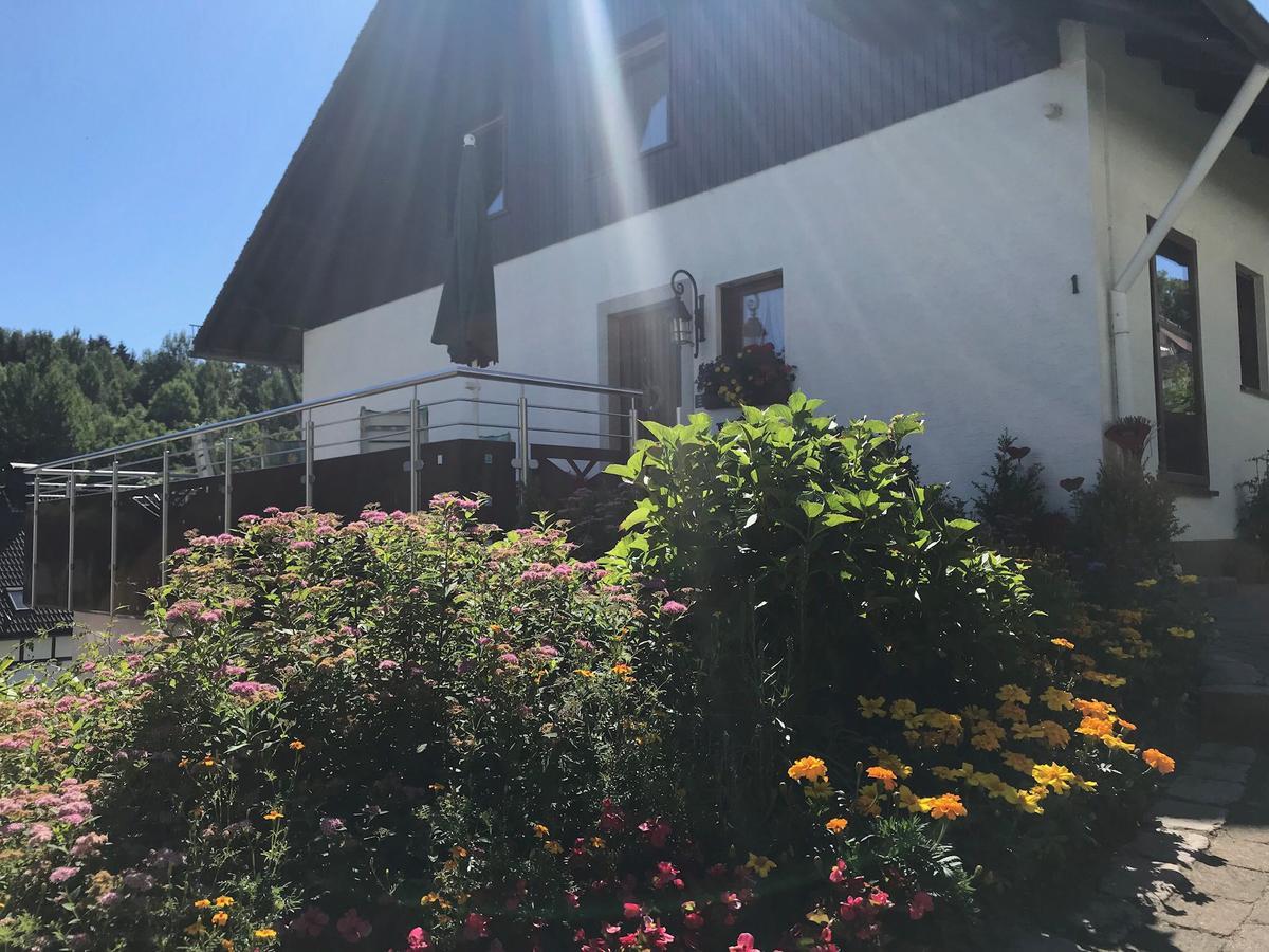 Haus Mittelberg Leilighet Olsberg Eksteriør bilde