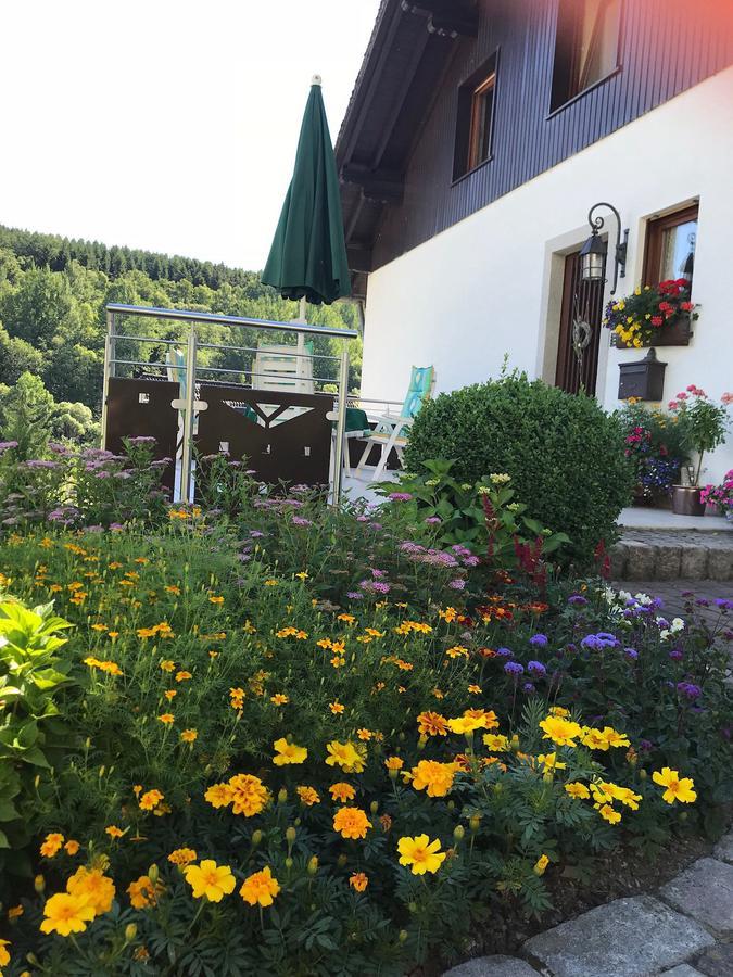 Haus Mittelberg Leilighet Olsberg Eksteriør bilde